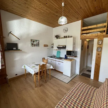 Apartment Fonctionnel Aux Pieds Des Pistes Avec Balcon Et Wi-fi, - Fr-1-787-64