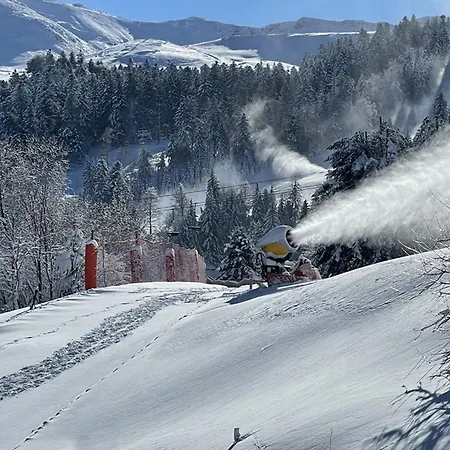 Fonctionnel Aux Pieds Des Pistes Avec Balcon Et Wi-fi, - Fr-1-787-64